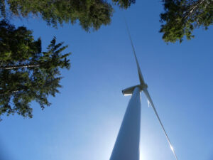 Windkraftanlagen im Wald