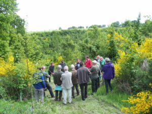 Formation des guides forestiers
