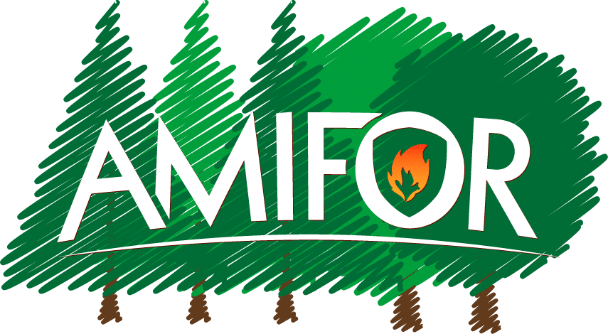 Amifor - verzekeringen voor uw bossen
