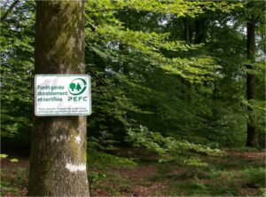 Baum mit PEFC-Schild. Dieser Wald wird nachhaltig bewirtschaftet