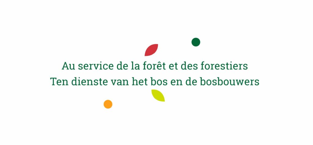 SRFB-KBBM motto - Ten dienste van bos en bosbouwers - Ten dienste van het bos en de bosbouwers