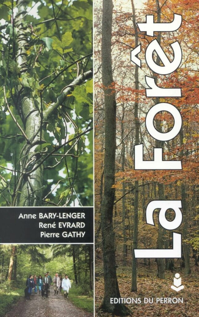 La forêt