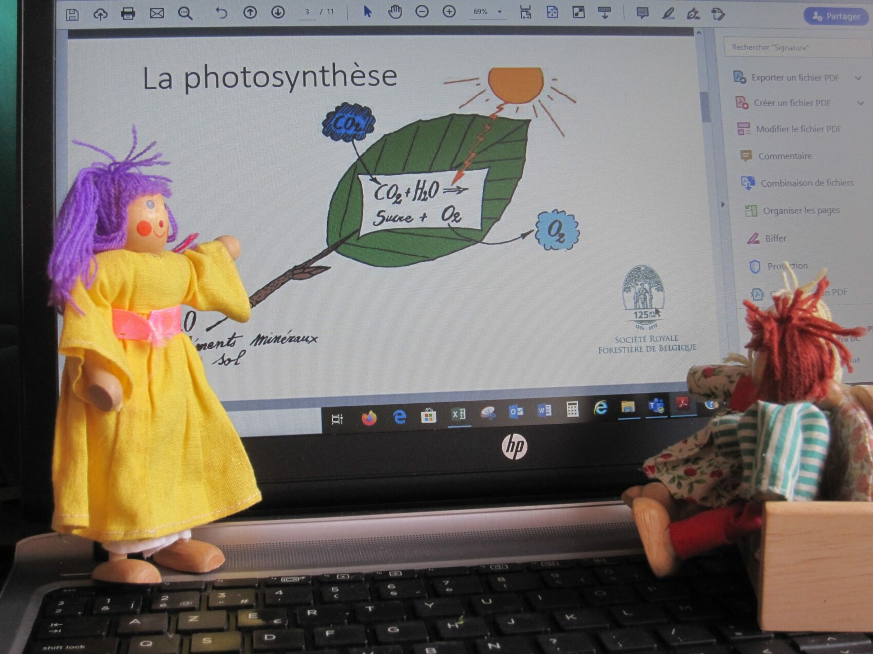 Photosynthesis game
