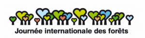 Internationaler Tag der Wälder