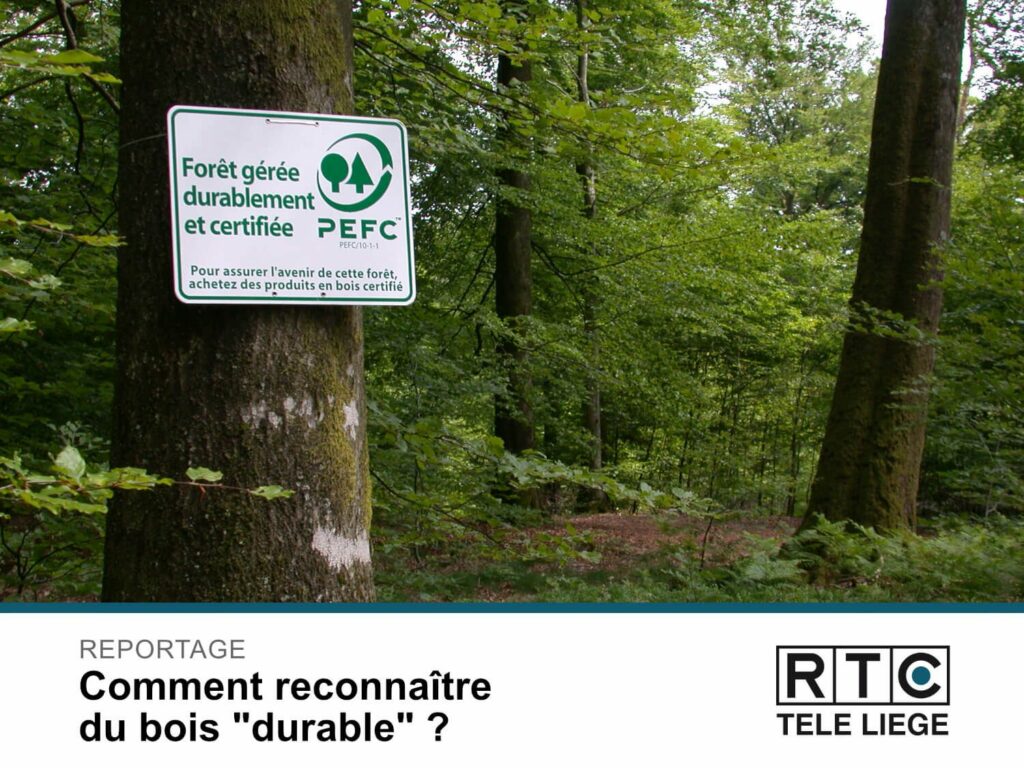 Hoe herken je "duurzaam" hout? RTC-rapport.