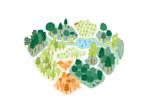 Forêt mosaïque