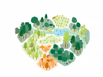 Forêt mosaïque