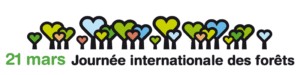 21. März - Internationaler Tag des Waldes