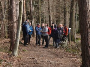 Geführter Spaziergang im Wald