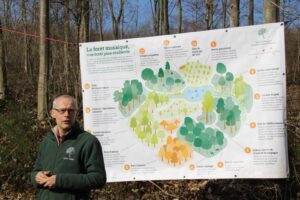 Philippe De Wouters erklärt den Mosaikwald