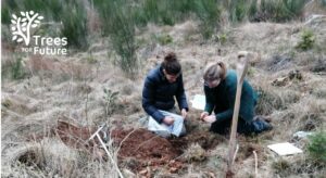 Trees for Future - Böden