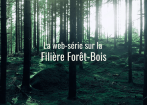 Dokumentarische Webserie über die Holzbranche
