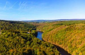 Resilienter Wald - Silva Belgica 1/2023