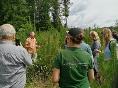Trees for Future in Hamoir