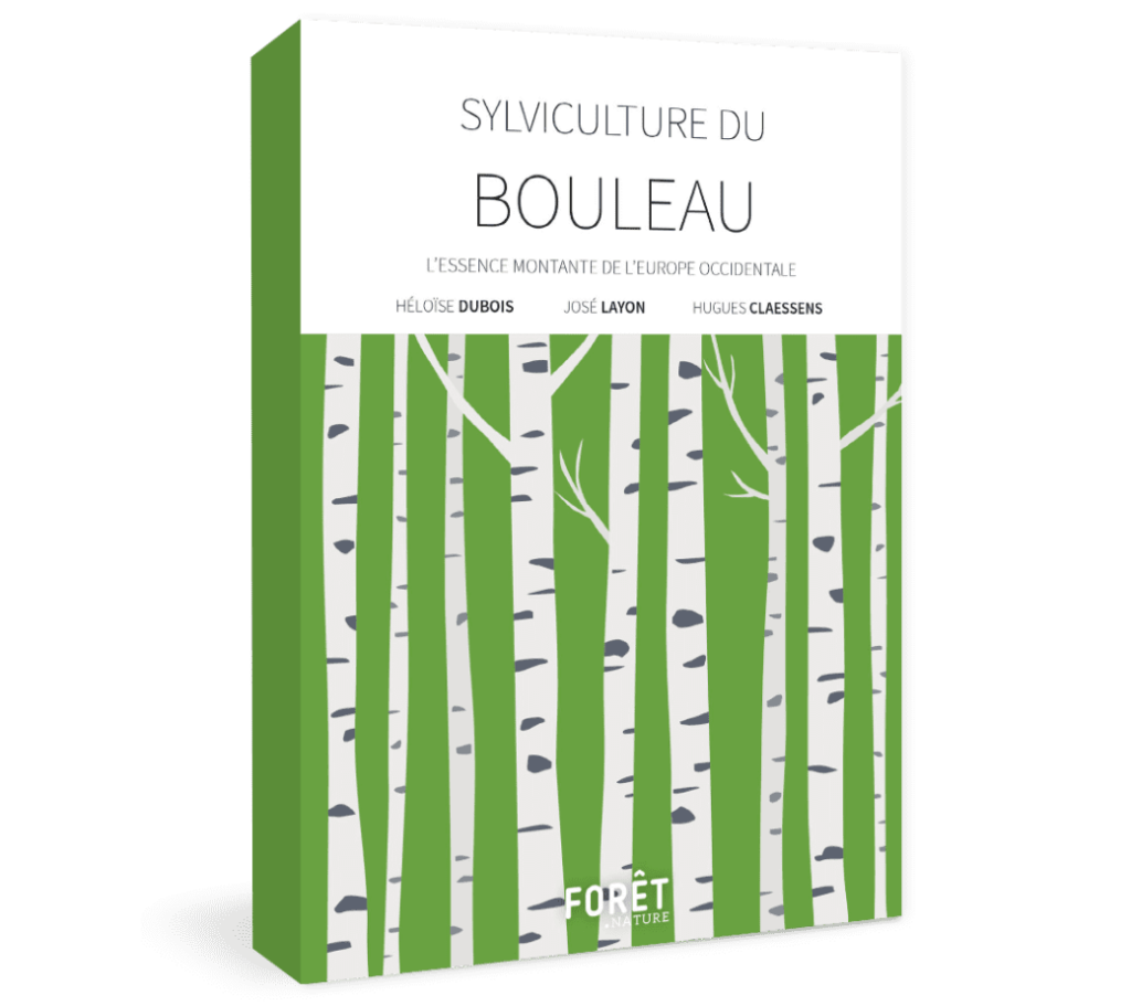 Sylviculture du bouleau - L’essence montante de l’Europe occidentale