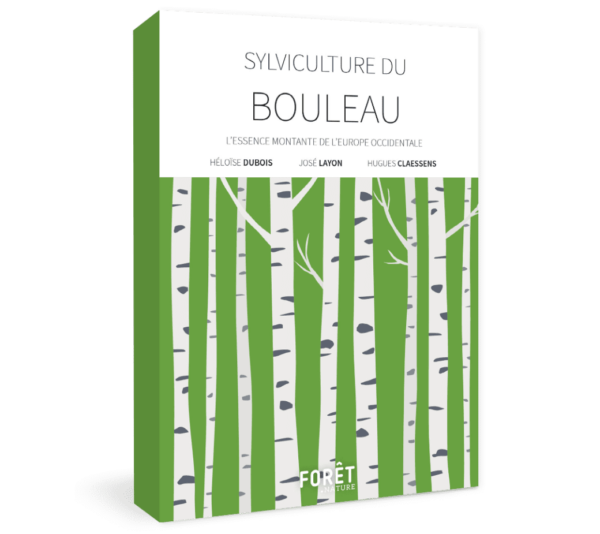 Birch silviculture - Western Europe's rising species