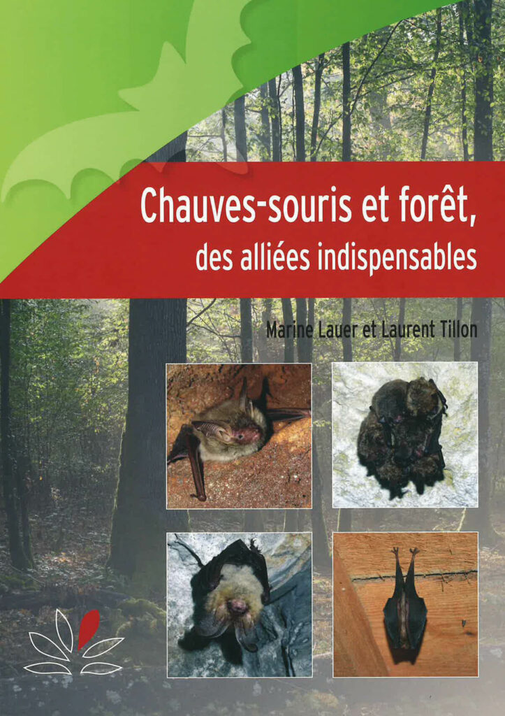Bats and forests