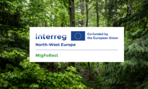 MigFoRest