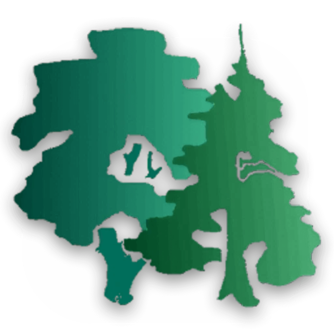 Forestimator Mobile? Your New Forest Mapping Tool