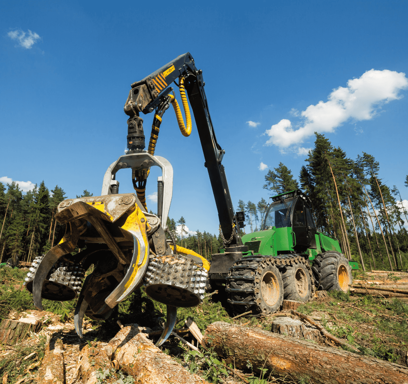 Sparsamkeit Holzschneidemaschine