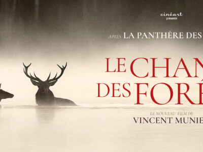 Le Chant des Forêts