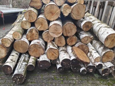 Bundle of logs