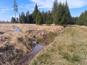 Hydrologie régénérative en forêt