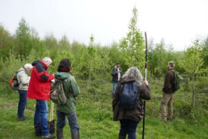 Guide forestier