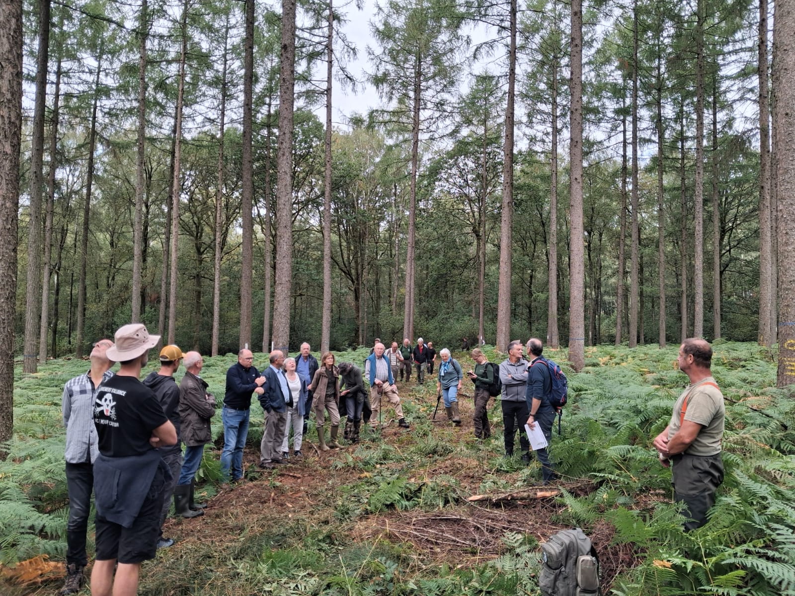 Journée « sylviculture des mélèzes le 19/8 à Oignies en Thiérache