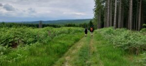 Paysage - Forest4Youth